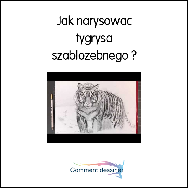 Jak narysować tygrysa szablozębnego